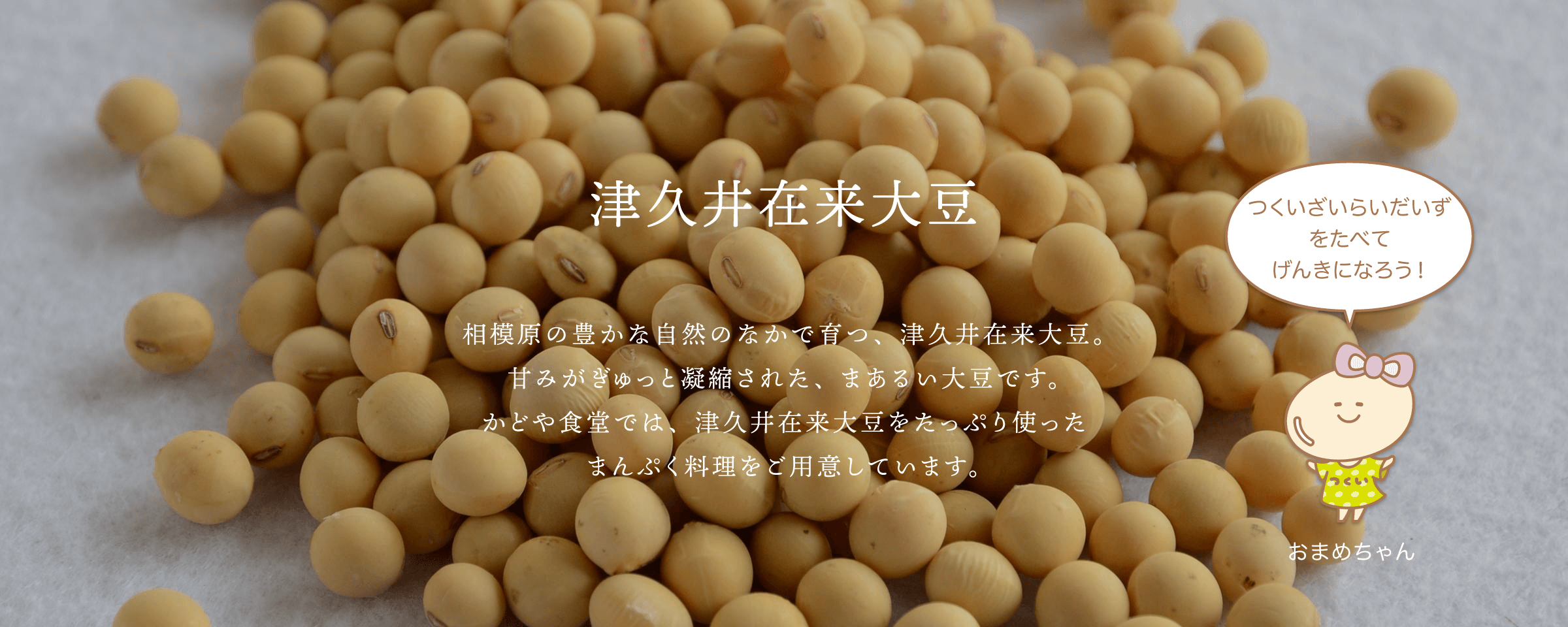 津久井大豆　相模原の豊かな自然のなかで育つ、津久井大豆。 甘みがぎゅっと凝縮された、まあるい大豆です。 かどや食堂では、津久井大豆をたっぷり使った まんぷく料理をご用意しています。