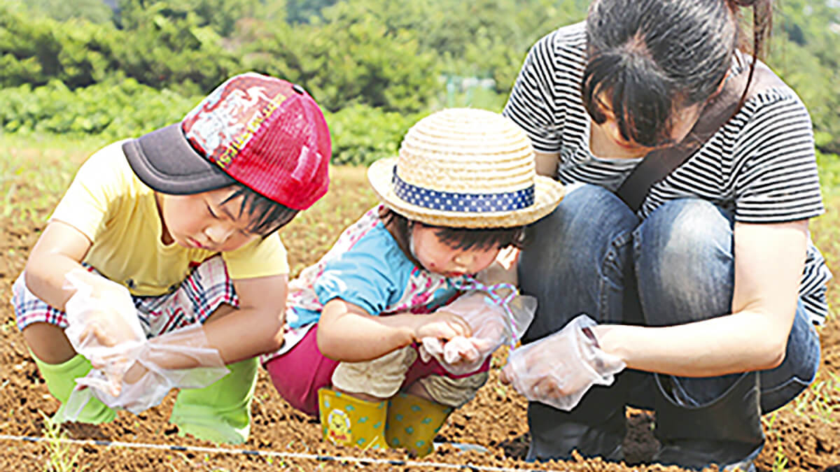 津久井在来大豆の種まきをする母親と子供たち